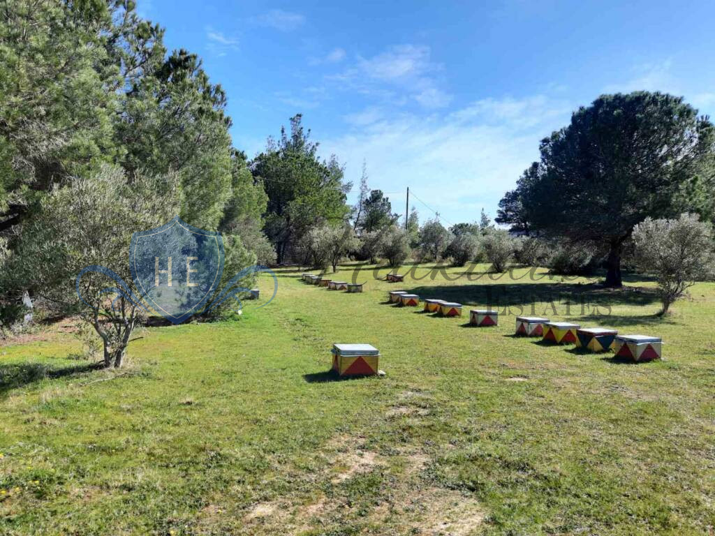 plot for sale sithonia peninsula