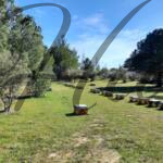 plot for sale sithonia peninsula
