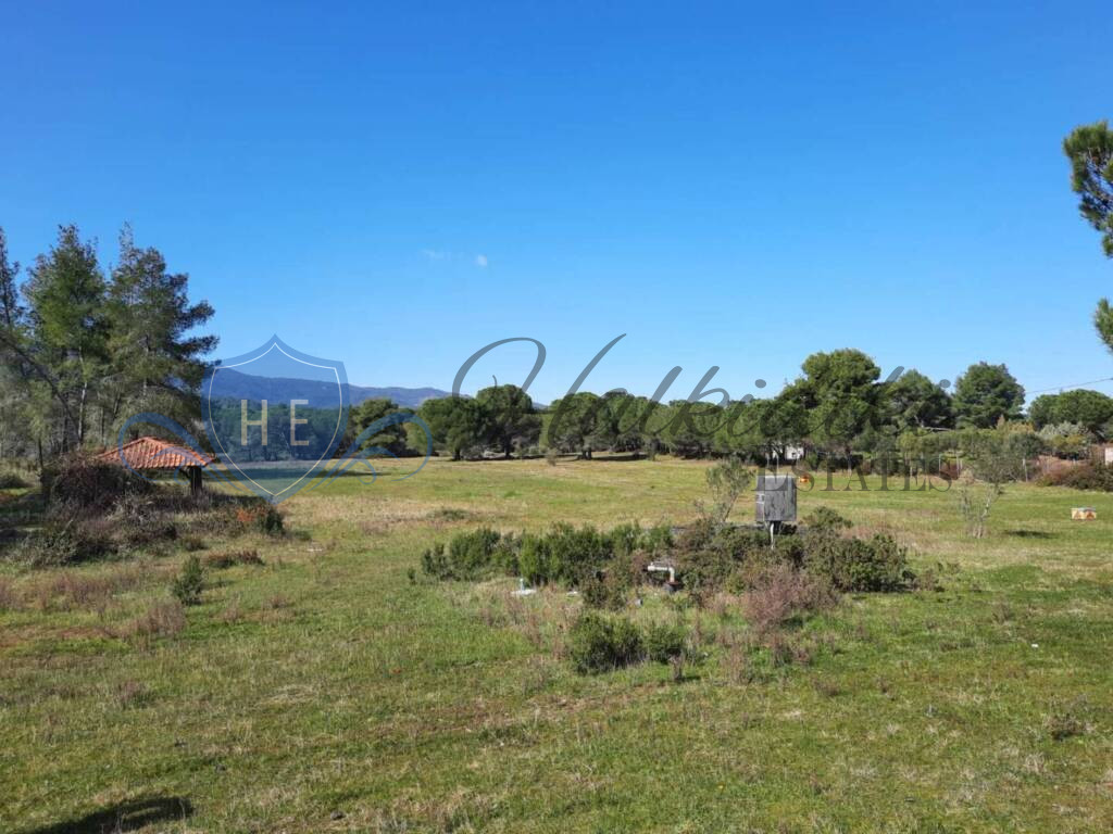plot for sale sithonia peninsula