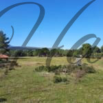 plot for sale sithonia peninsula