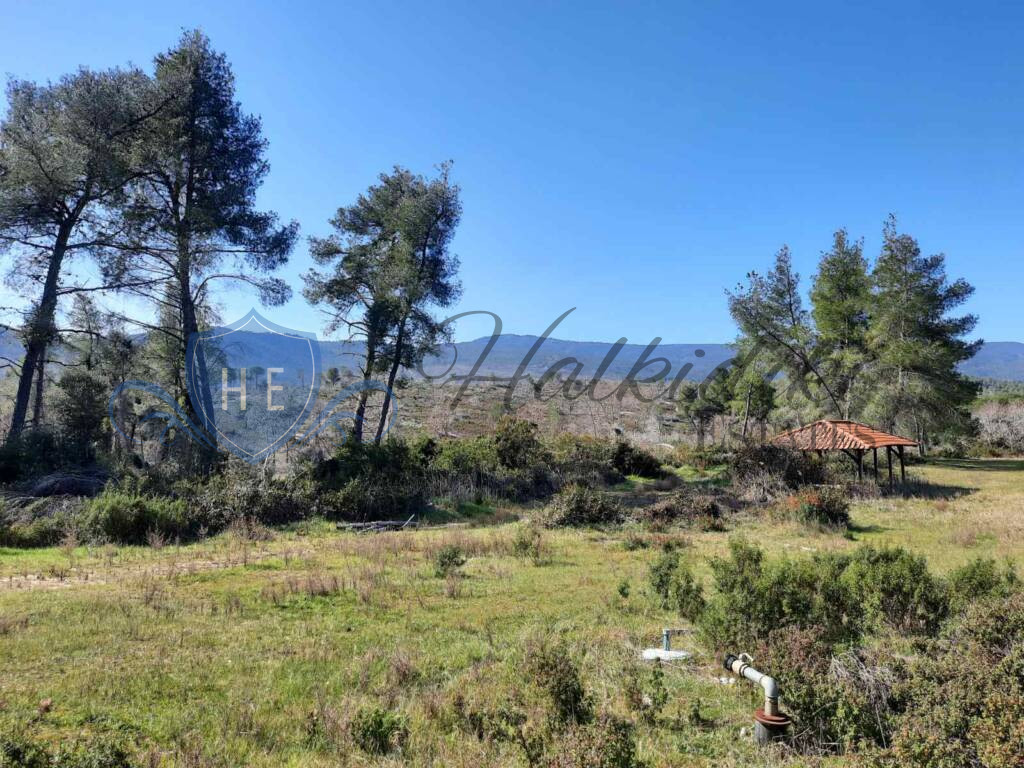 plot for sale sithonia peninsula