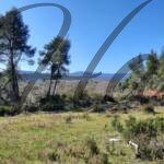 plot for sale sithonia peninsula