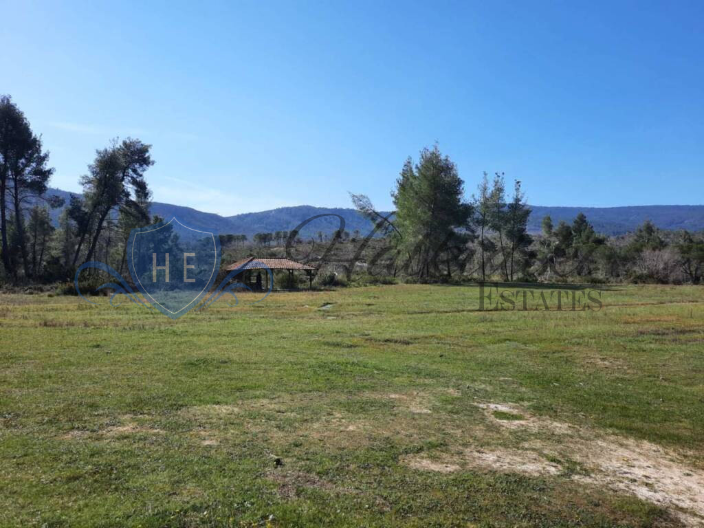 plot for sale sithonia peninsula