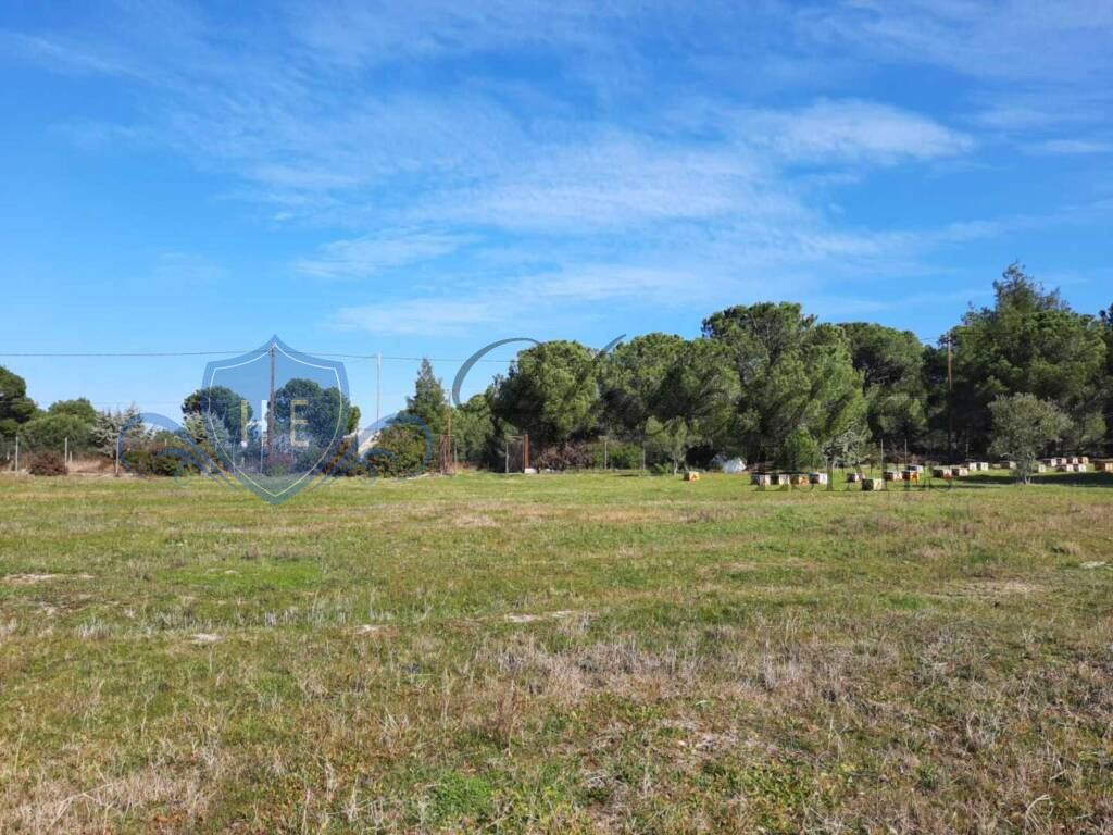 plot for sale sithonia peninsula