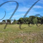 plot for sale sithonia peninsula
