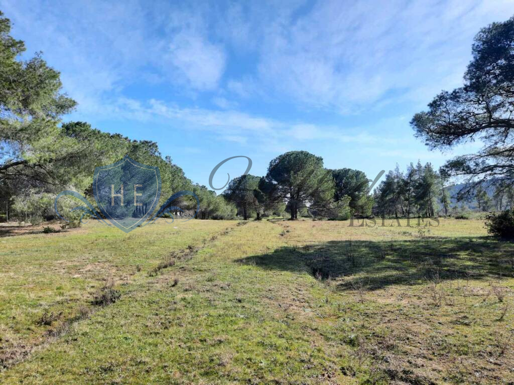 plot for sale sithonia peninsula