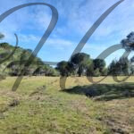 plot for sale sithonia peninsula