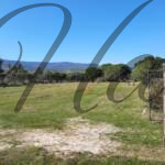 plot for sale sithonia peninsula