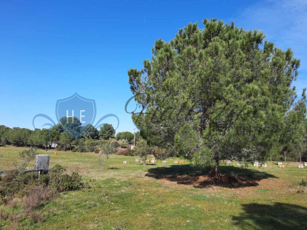 plot for sale sithonia peninsula
