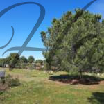 plot for sale sithonia peninsula