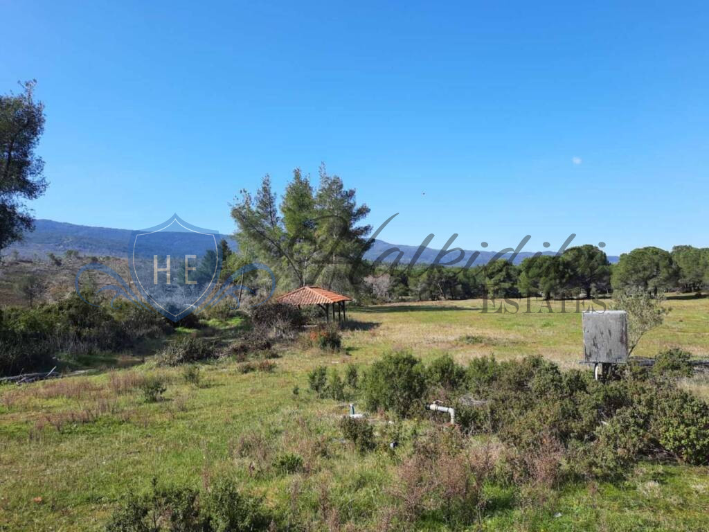 plot for sale sithonia peninsula