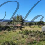 plot for sale sithonia peninsula
