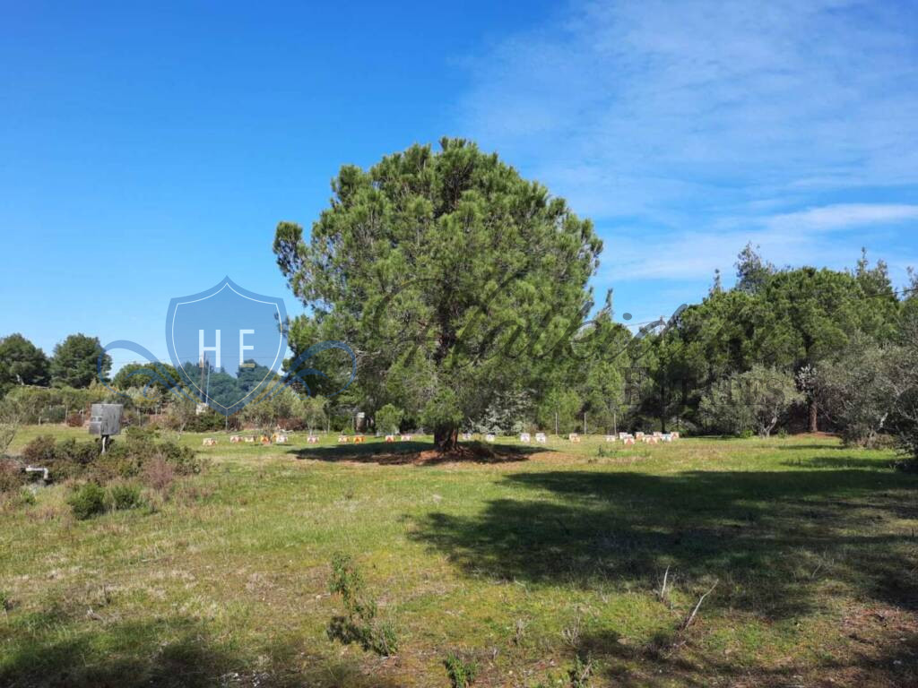 plot for sale sithonia peninsula